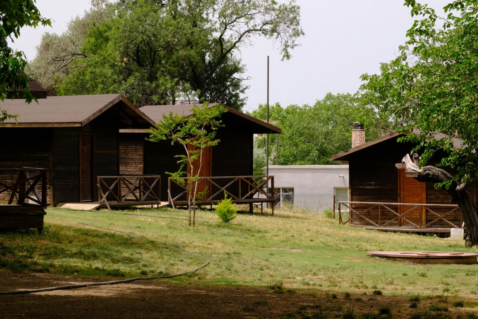 Charming rustic wooden cabins surrounded by lush greenery in İzmir, Türkiye.